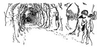10566.jpg