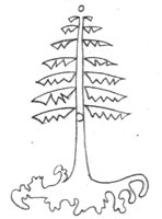 593242.jpg