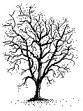 TREE41.PCX