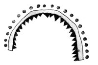 593140.jpg