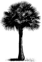 TREE32.PCX