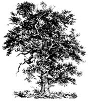 TREE28.PCX