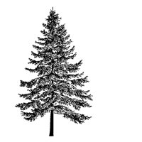 TREE27.PCX