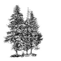 TREE26.PCX