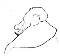 5714.jpg
