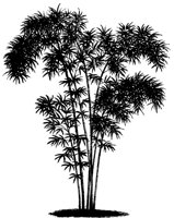 TREE17.PCX