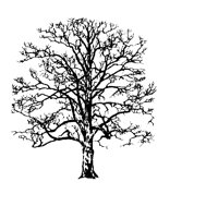 TREE15.PCX