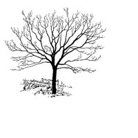 TREE09.PCX