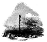 56090.jpg