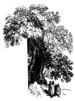 56010.jpg
