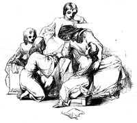 55982.jpg