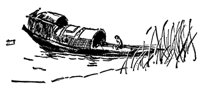 539640.jpg