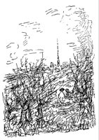 539136.jpg