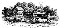 538814.jpg