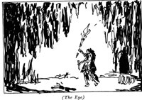 516684.jpg