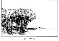516656.jpg