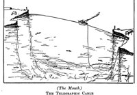 516628.jpg