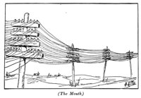 516626.jpg