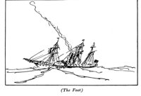 516570.jpg