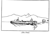 516556.jpg
