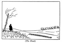516492.jpg