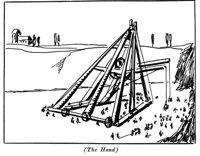 516438.jpg