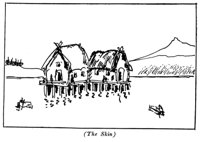 516390.jpg