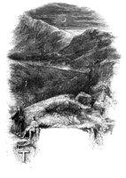 397904.jpg