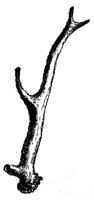 326639.jpg