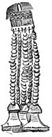 326589.jpg