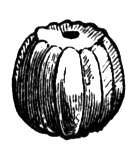 326545.jpg