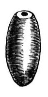 326543.jpg