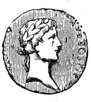 326541.jpg