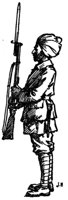 28434.jpg