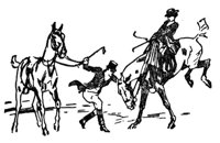 28424.jpg