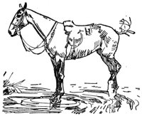 28422.jpg