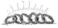 28342.jpg
