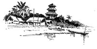 28226.jpg