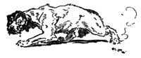 28197.jpg