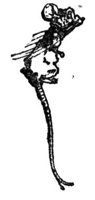 28192.jpg