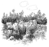 263755.jpg