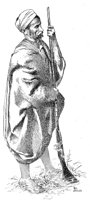 263723.jpg