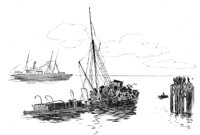 263711.jpg