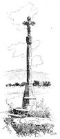 263701.jpg