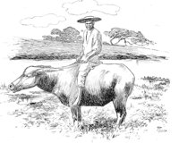 263695.jpg