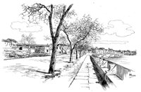 263675.jpg