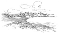 263619.jpg