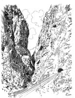 263605.jpg