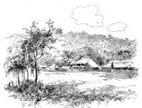 263595.jpg