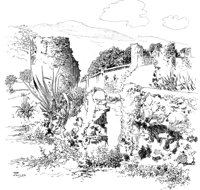 263535.jpg